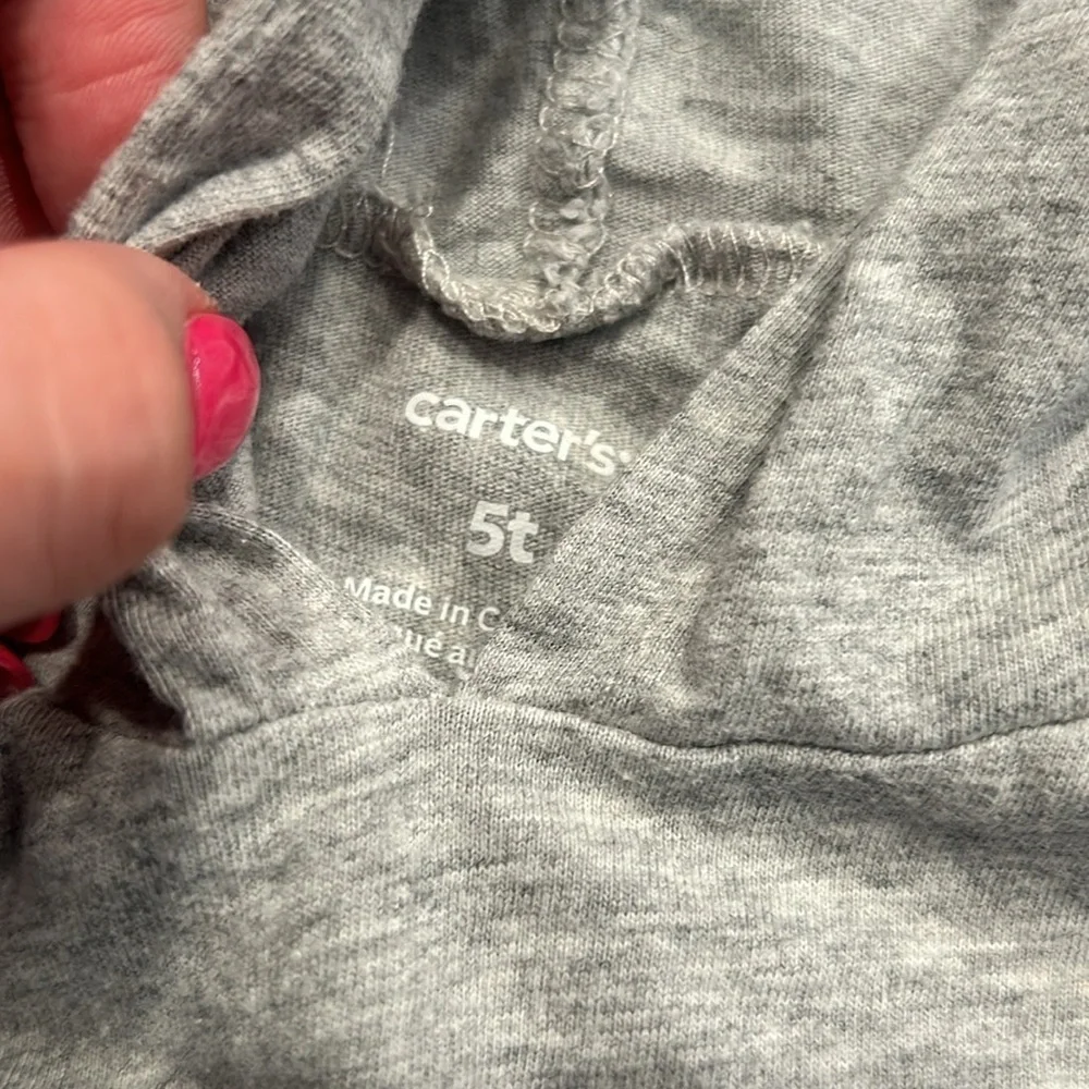 Gray Hoodie with Dinosaur Design